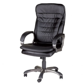 Кресло офисное BRABIX Omega EX-589 (черное) в Тогучине - toguchin.mebel54.com | фото