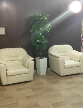 Кресло Премьер в Тогучине - toguchin.mebel54.com | фото