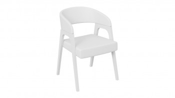 Кресло «Техас 1» (Белый матовый/Экокожа Белый №66) в Тогучине - toguchin.mebel54.com | фото