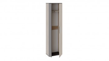 Шкаф для одежды «Нуар» тип 1 Фон серый/Дуб сонома в Тогучине - toguchin.mebel54.com | фото