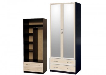 Шкаф для платья и белья 2-х дверный с профилем МДФ с 2 зеркалами Венге/Дуб выбеленный в Тогучине - toguchin.mebel54.com | фото