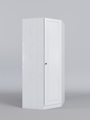 Шкаф угловой (угловая секция) Классика (Белый/корпус Выбеленное дерево) в Тогучине - toguchin.mebel54.com | фото